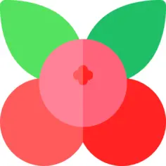 Cranberry