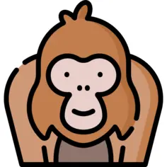 Orangutan