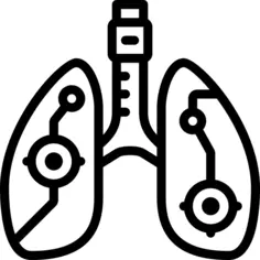 Lungs