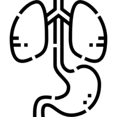 Organs