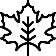 Maple leaf