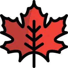 Maple leaf