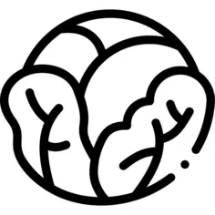 Cabbage