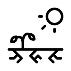 干旱