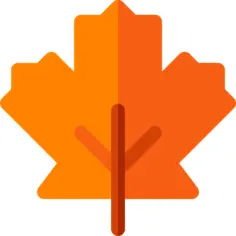 Maple leaf