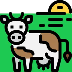 Cow