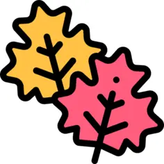 Maple leaf