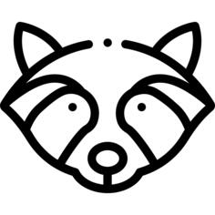 Raccoon