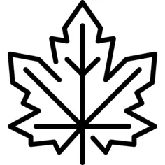 Maple leaf