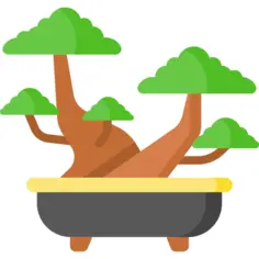 Bonsai