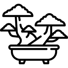 Bonsai