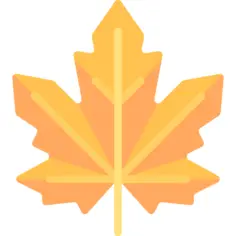 Maple leaf
