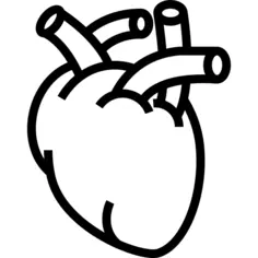 Heart