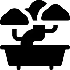 Bonsai