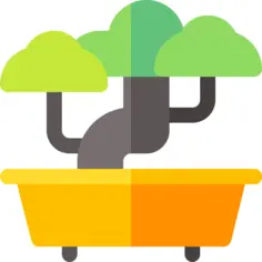 Bonsai