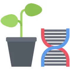 Genetic modification