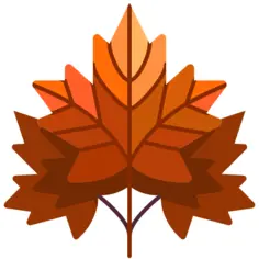 Maple leaf