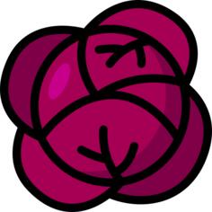 红卷心菜