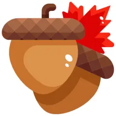 Acorn