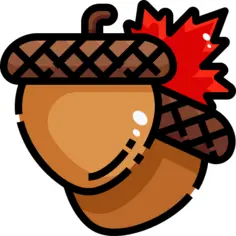 Acorn