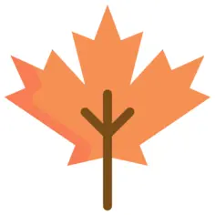 Maple leaf
