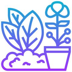 草本植物