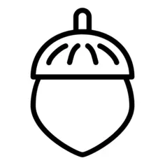 Acorn