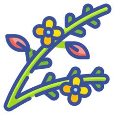 科