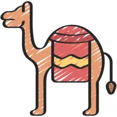 Camel
