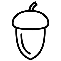 Acorn