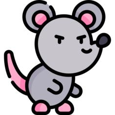 Rat