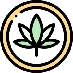 Cannabis
