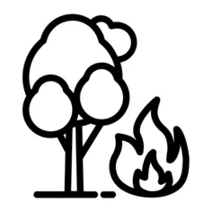 Burning tree