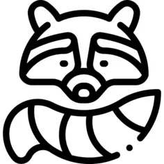 Racoon