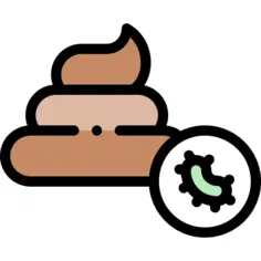 Poop