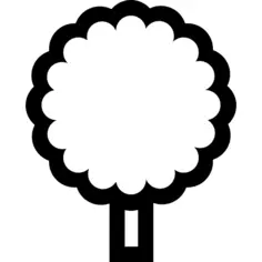 柠檬树