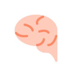 脑