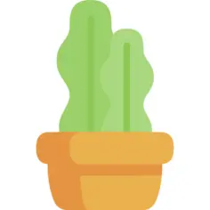 花盆