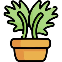 花盆