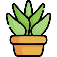 花盆