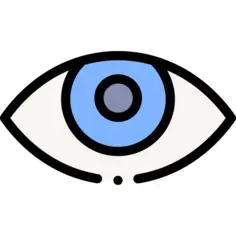 Eye