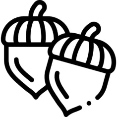 Acorn