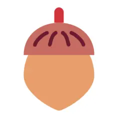 Acorn