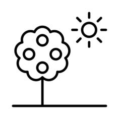 苹果树