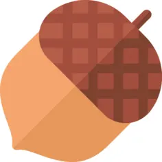 Acorn