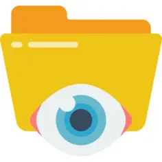 Eye