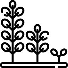 Sprout