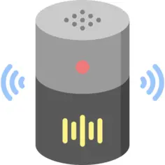 Voice assistant