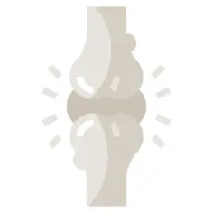Joint