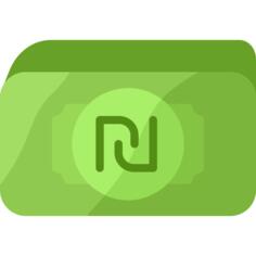 New shekel